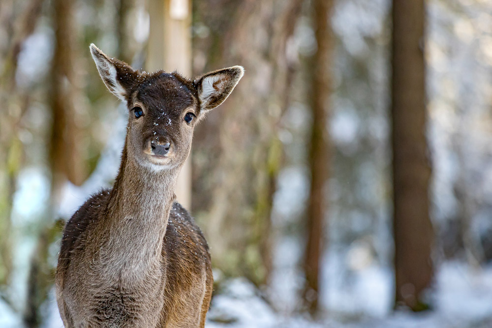 Platz 9 Christoph Lindau